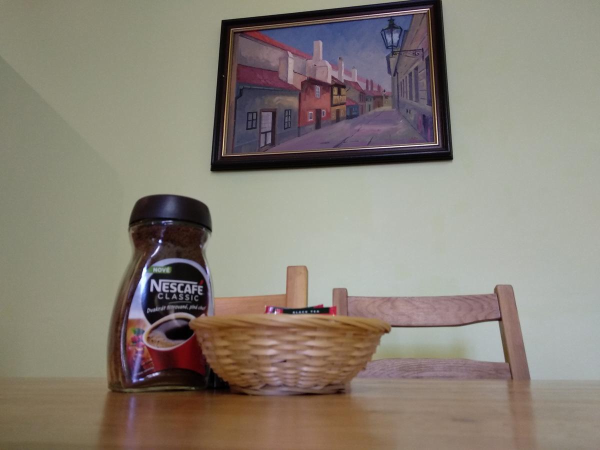 Residence Pinkas Прага Экстерьер фото